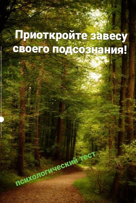 Прогулка по лесу. Простой, но точный психологический тест. — Наталья ...