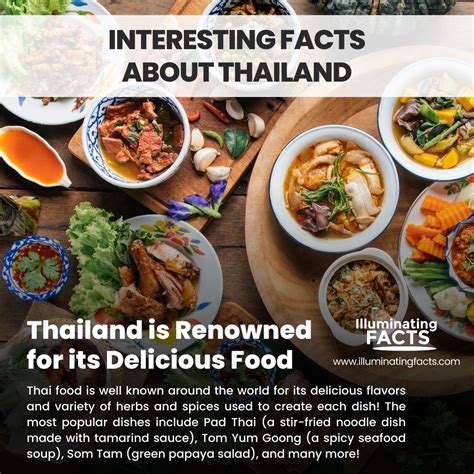 Interesting Facts about Thailand - Illuminating Facts