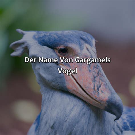 Wie Heißt Der Vogel Von Gargamel - VogelWunderland