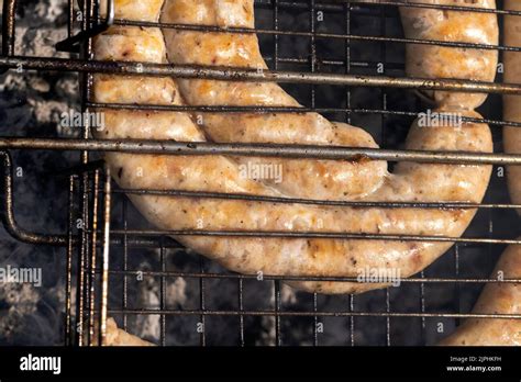 Image result for Cooking On a Log