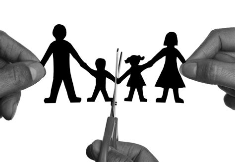 Image result for Alienacion Familiar