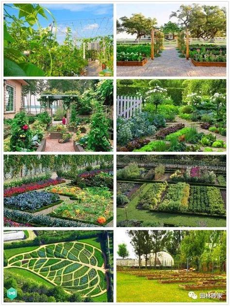 庭院菜园怎么设计最好看？_种植