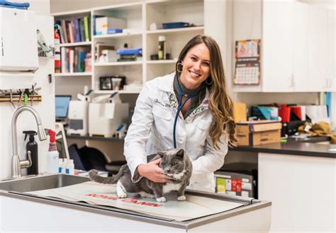 Mechanicsville Animal Hospital provides quality veterinary care for ...