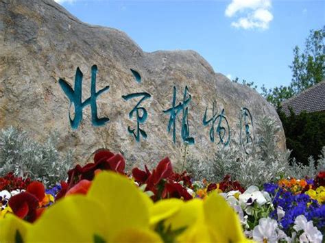 40万株鲜花迎国庆！北京植物园将开市花展-中国植物园联盟