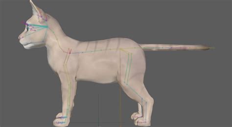 3D Cartoon Stylized Cat Model - TurboSquid 2004078