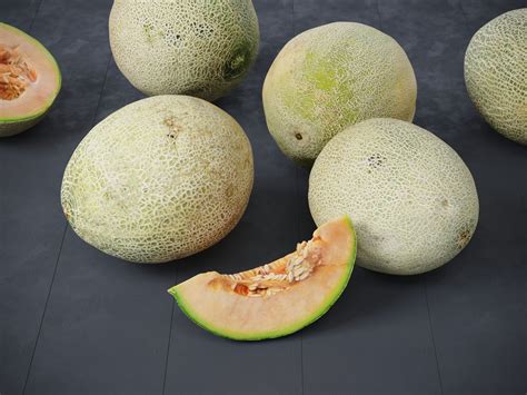 Melons 3D model | CGTrader