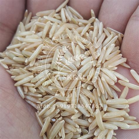 Gallery - SHREE KRISHNA RICE MILLS from Karnal Haryana India