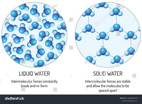 Water Molecules Liquid Evolution Of Model I. Water Molecules In Liquid