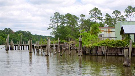 Top 20 Gulf Shores, AL cabin rentals from $78/night | Vrbo