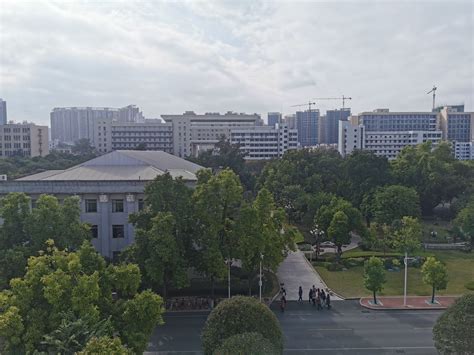 【携程攻略】南宁广西大学景点,广西大学有很多外国的朋友，学校很大，树很多，风景宜人，可以坐校车…