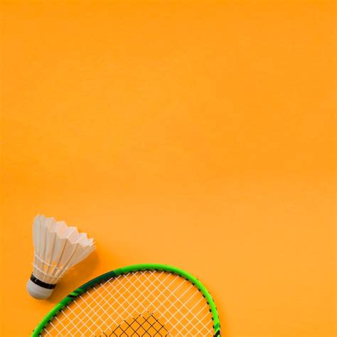Badminton Theme 的图像结果