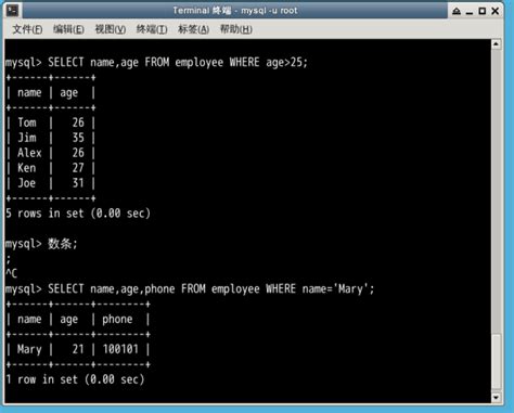 Select Syntax 的图像结果