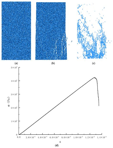 Dynamic Mechanical Properties and Damage Morphology Analysis of ...