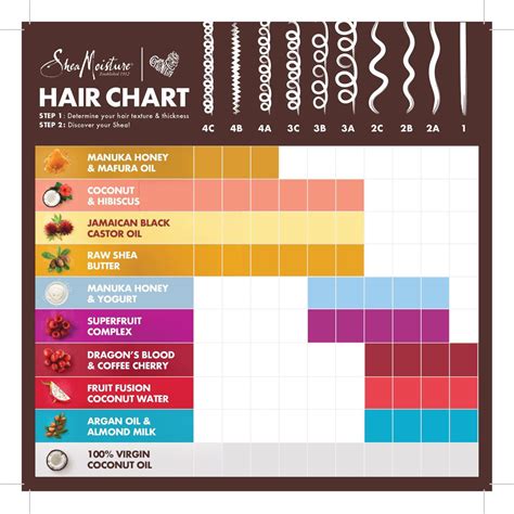 Shea Moisture Hair Type Chart - Infographic Chart Design