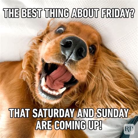 45 Friday Memes That Will Have You Laughing Into the Weekend (2024)