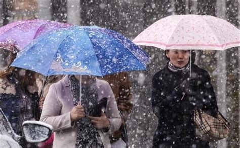 未来三天，新一轮雨雪即将来袭！ - 热点 - 丽水在线-丽水本地视频新闻综合门户网站