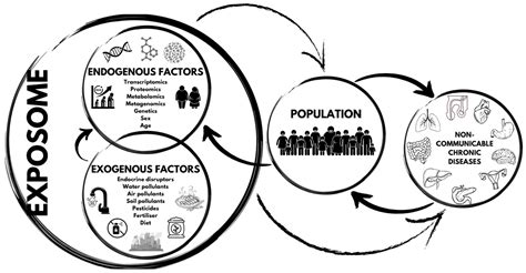Exploring the Exposome Spectrum: Unveiling Endogenous and Exogenous Factors in Non-Communicable ...