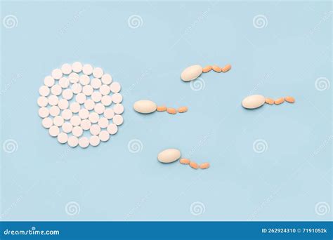 The Concept of Pregnancy, Fertilization of the Egg. Artificial ...