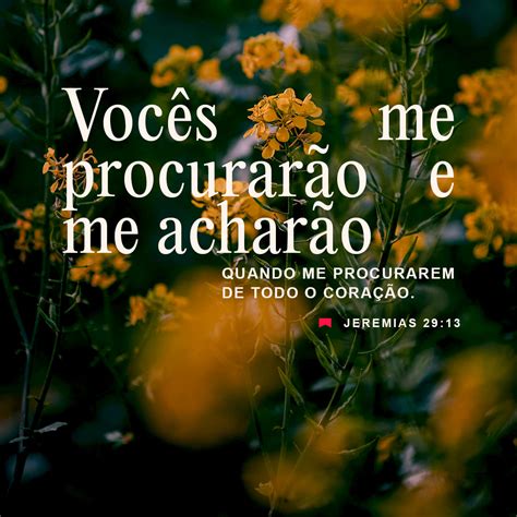 Jeremias 29:13 Vocês me procurarão e me acharão quando me procurarem de ...