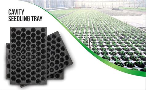 Singhal Seedling Tray - Pack of 20 (Black, 70 Holes) Germination Trays ...