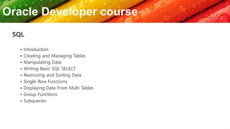 Image result for Oracle Developer 11G