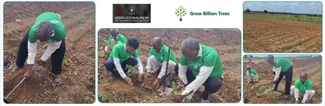 Godrej Eternal Palms: Where Communities Grow and Nature Thrives – Grow ...