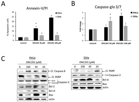 ONC201 (Dordaviprone) Induces Integrated Stress Response and Death in ...