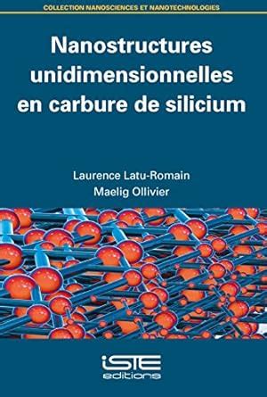 Amazon.in: Buy Nanostructures unidimensionnelles en carbure de silicium ...