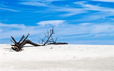 Image result for Creating Algorithm in Weka