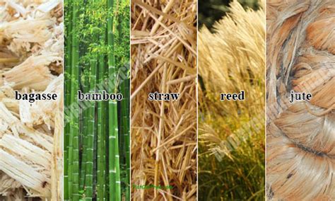 Image result for Pulp to Make Paper