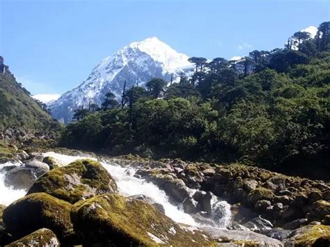 Khangchendzonga National Park, Sikkim - The Ultimate Travel Goals List ...