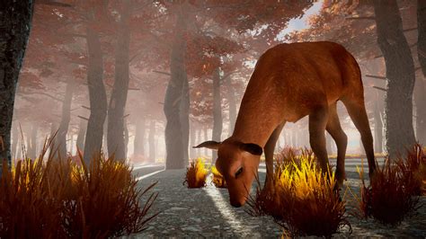 Image result for Wolves Survival