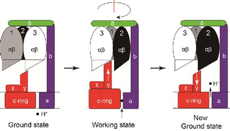 Image result for Reciprocating Motion Using Magnets