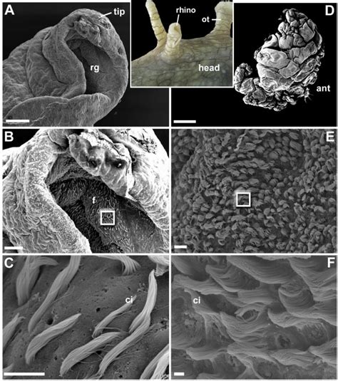 Image result for Tutorial Java MySQL
