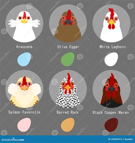 Types Of Hens Eggs