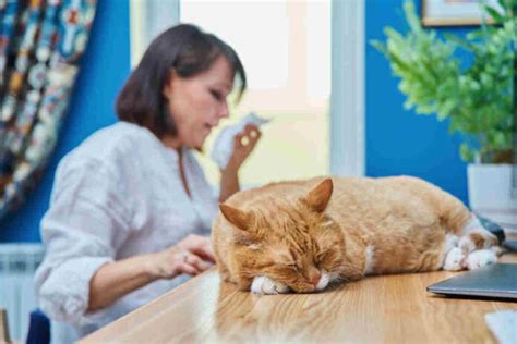 Is allergic rhinitis serious? - THIP Media