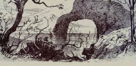 Optical Illusion: Can You Spot The 10 Animals In This Picture?