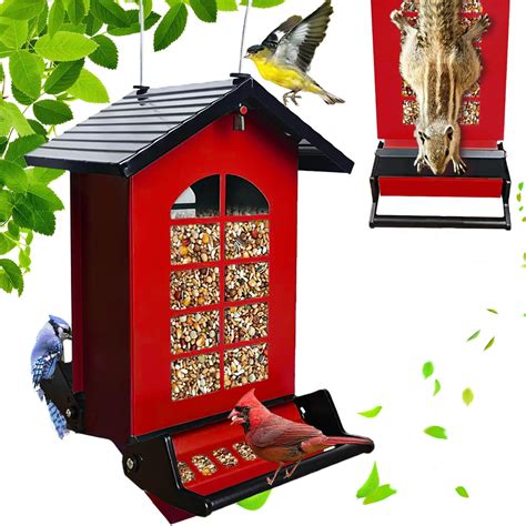 Amazon.com : ABXKZ Squirrel Proof Bird Feeder for Outdoors Hanging ...