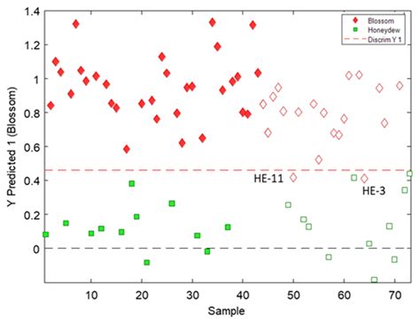 Antioxidants In Spanish Translation at Oscar Godson blog