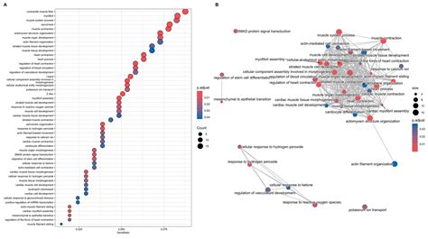 RYR1-Related Myopathies Involve More than Calcium Dysregulation ...
