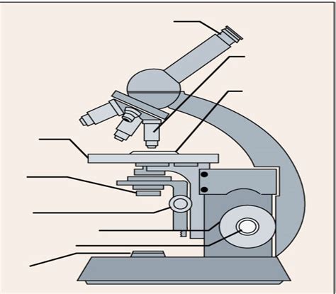 A Light Microscope 的图像结果