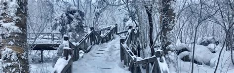 Harbin Weather in November, Harbin Temperature in November