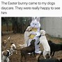 Image result for Cute Easter Bunny Memes