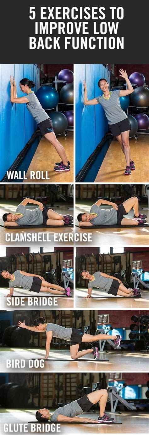 How to Exercise Lower Back Muscles 的图像结果