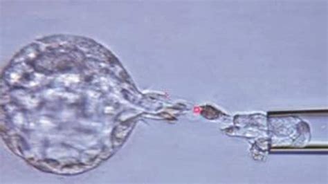 Alien Baby in India 的图像结果