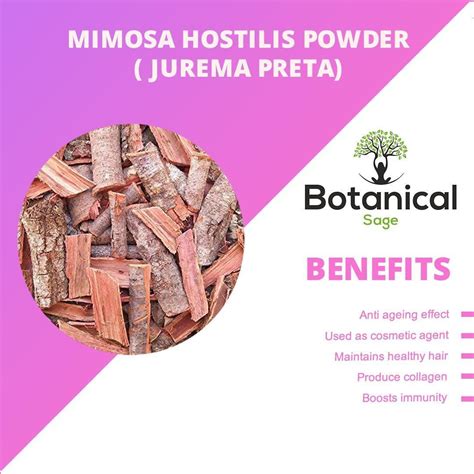 Leanbeing Healthcare - Jurema Preta (Mimosa) Powder
