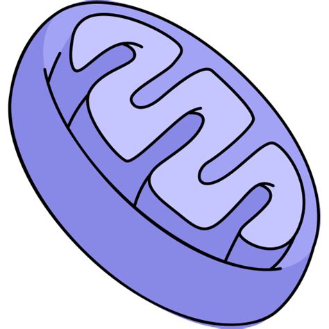 Icône de Mitochondries Generic Thin Outline Color | Freepik