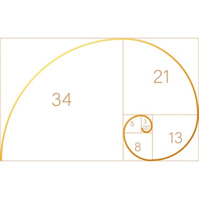 Golden Ratio PNGs for Free Download