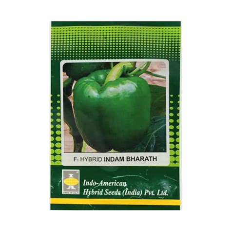 Bharat Capsicum Seeds - Indo American | F1 Hybrid | Buy Online Now ...