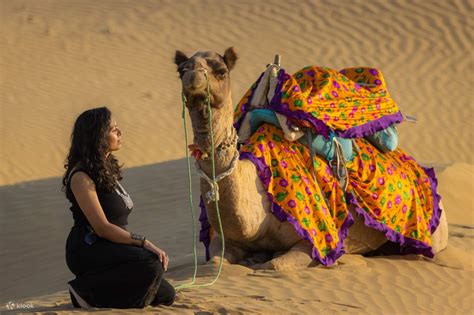 Peeps Billions of Star Experience with Desert & Camel Safari - Klook India